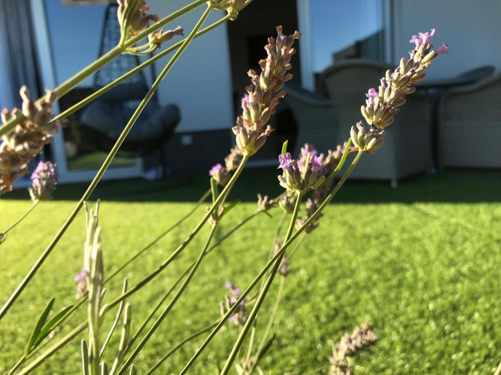 Hedonist-luxury 2 Bedroom With Private Hot Tub, Garden And Free Parking Apartment