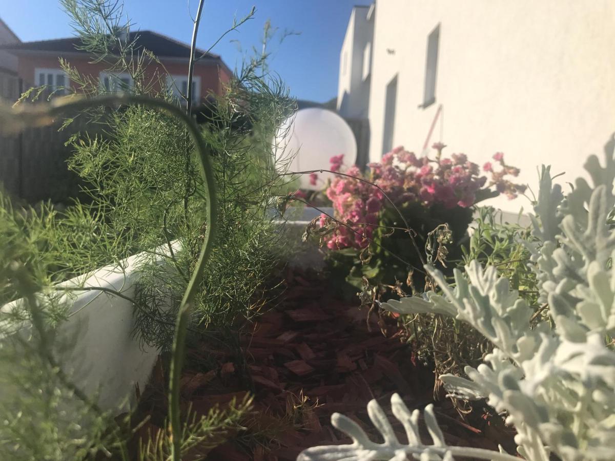 Hedonist-luxury 2 Bedroom With Private Hot Tub, Garden And Free Parking